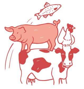 Illustration Astrid Animals