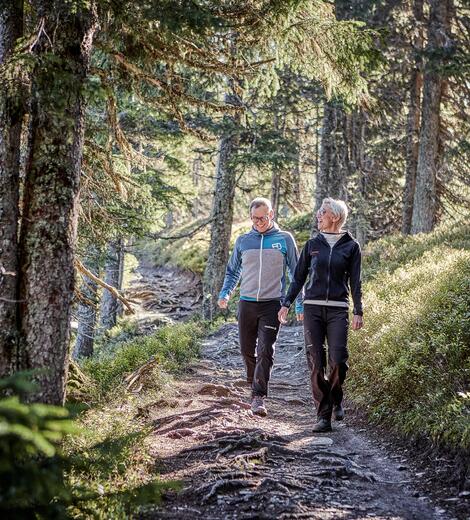 altes Paar beim Wandern im Wald